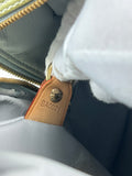Louis Vuitton Mint Verni Hand Bag