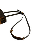 Louis Vuitton Monogram Crossbody Bag