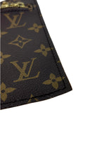 Louis Vuitton Monogram Accessory Pouch